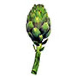 option-image