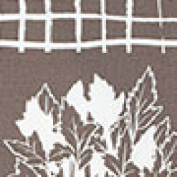 option-image