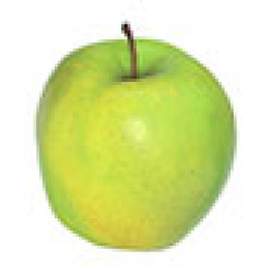 option-image