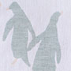 option-image