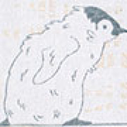 option-image