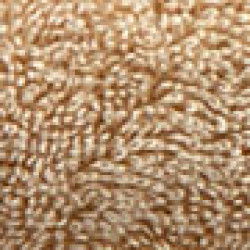 option-image