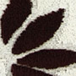 option-image