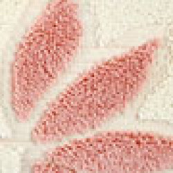 option-image