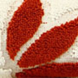 option-image