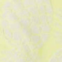 option-image