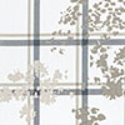 option-image