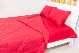 Набор MirSon №2413 Eco-Soft 19-1655 Edmonda (одеяло + 2 наволочки + простынь)