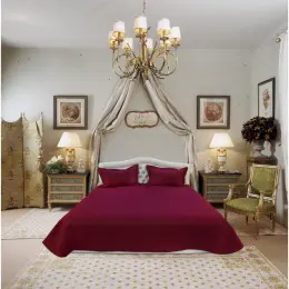 Покрывало Arya 8208 V35