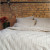 Постельное белье Lotus Home Washed cotton Liman, фото 2