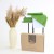 Постельное белье Mirson Ranforce Elite Green Diego (11-2107 + 18-0130) Kids, фото 5