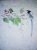 Хлопковая туника Bird of Paradise Sandi SoundSleep, фото 4