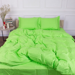 Пододеяльник 30-0016 Light Green сатин-страйп MirSon