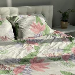 Комплект наволочек SoundSleep Tenderness бязь