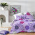 Постельное белье Iris Home Ranforce Aster, фото