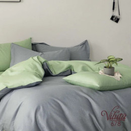 Комплект постельного белья Вилюта Twill 678